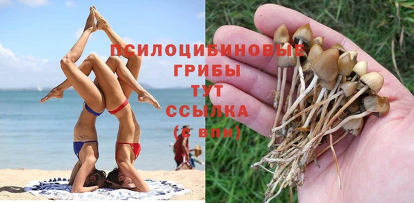 2c-b Нефтекумск