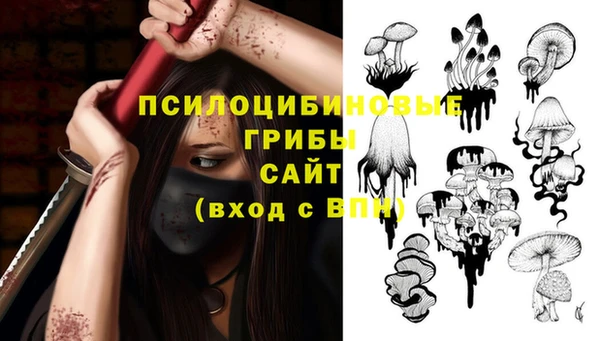 2c-b Нефтекумск