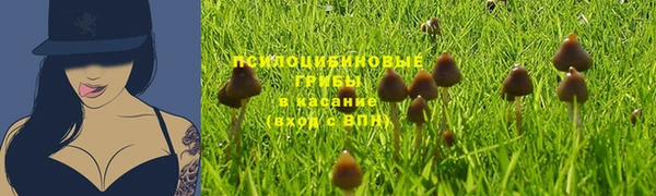 твердый Нефтегорск