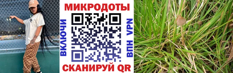 Псилоцибиновые грибы мицелий  Купить где  Суоярви 