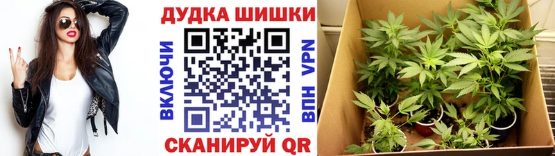 Бошки марихуана тримм  Купить  Суоярви 